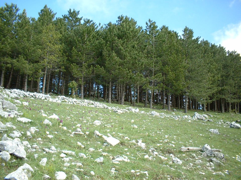 ancora foto dai simbruini